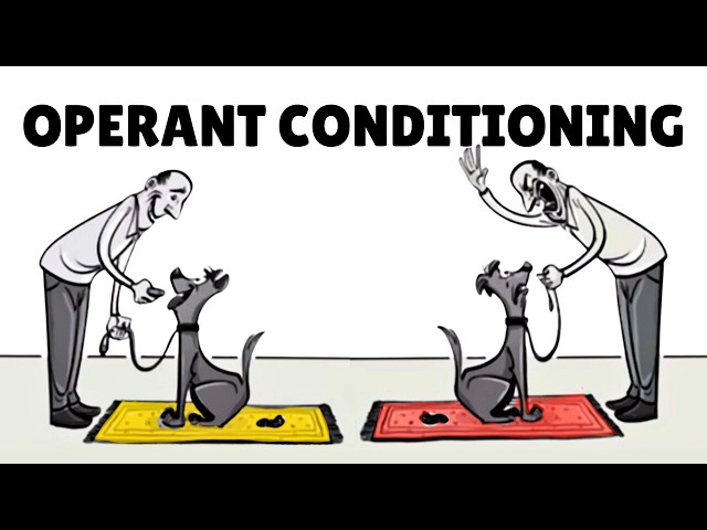 Skinner’s Operant Conditioning: Rewards & Punishments