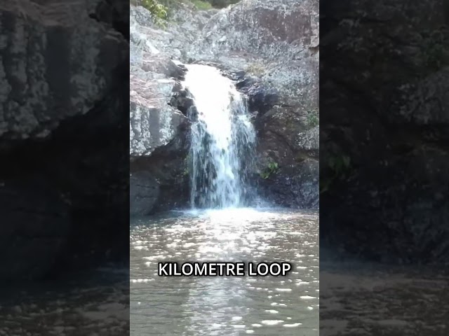 Complete the Kondalilla Falls hiking Trail to visit the Waterfall