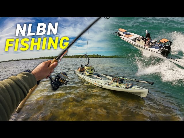 Snook, Redfish, Trout, Sea Turtles while NLBN Fishing Florida!