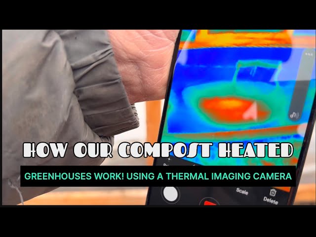 Using a Thermal Imaging Camera! Can Compost & Water Actually Heat a Greenhouse!? Windchills Zero!