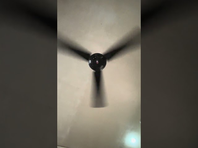 KDK M56XG "industrial" ceiling fan (daytime shot/startup)