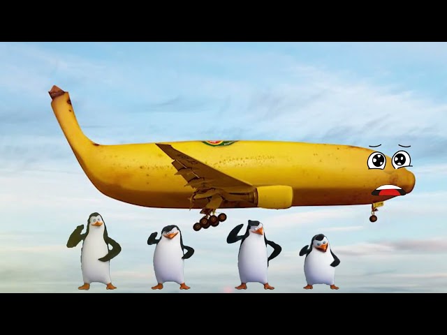 Doodles Airplanes - Doodles are flying and singing - Banana Airplanes - Airplane photoshop funniest