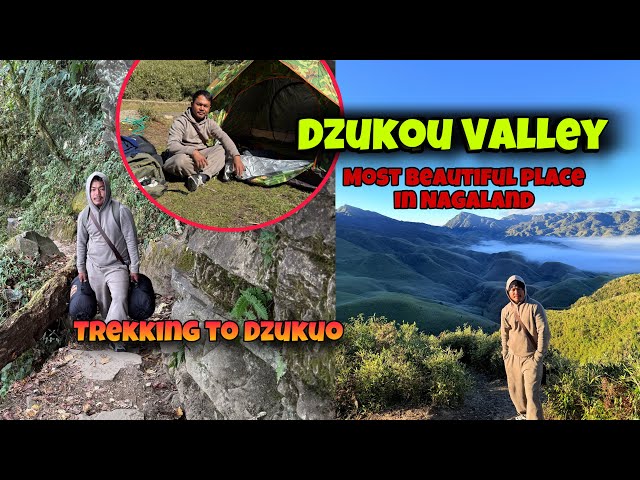 Dzukou Valley Adventure A Journey Through Nature’s Paradise