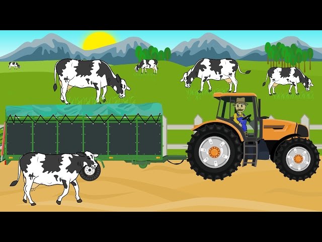 A farmer and a trip for cows to a neighboring town - The work of a farmer and tractors