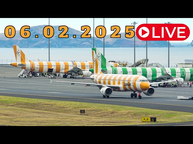 LIVE ACTION From Madeira Island Airport 06.02.2025