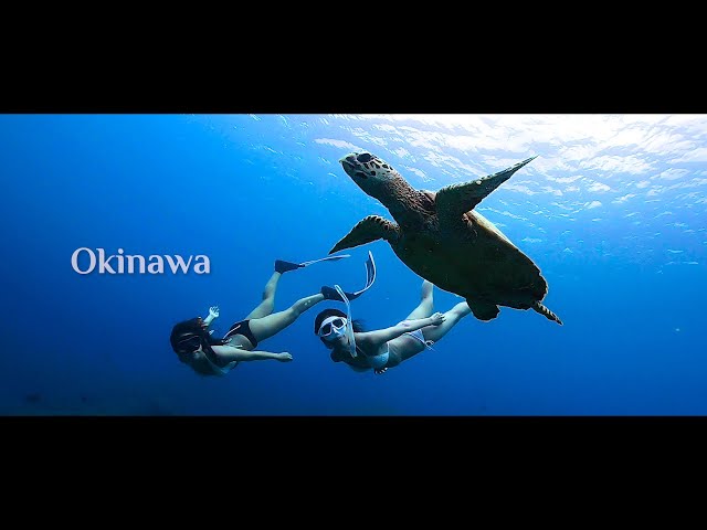 Freediving with Anri | Location: Nakayukui, Okinawa