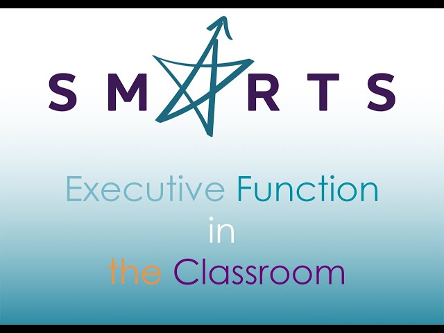 Executive Function in the Classroom: Practical Strategies for Students and Teachers