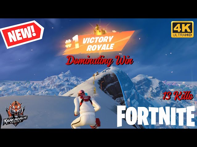 Fortnite - Dominating Winner With 13 Kills #win