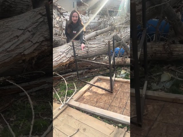 Large tree causes damage at Clearfield, Utah home during downslope winds