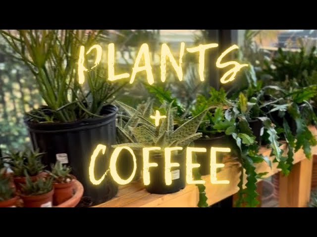 Plants and Coffee