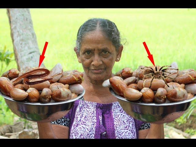 Village Recepe Channel - Village Cooking - primitive technology - Village food - village life