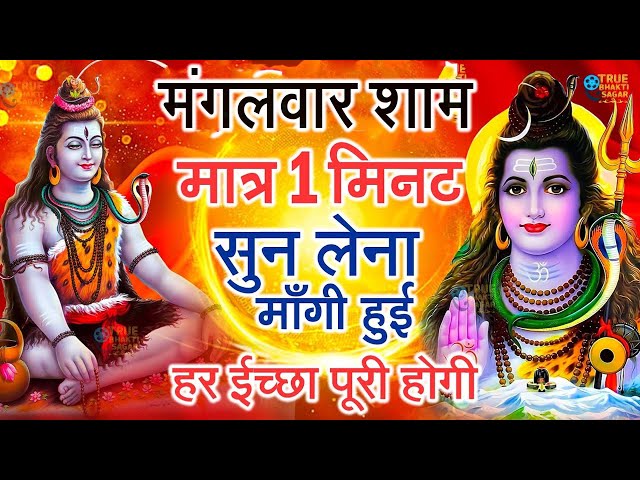 LIVE शिव भजन स्पेशल आज के दिन शिवजी की यह वंदना सुन लेना आपकी हर इच्छा पूरी हो जाएँगी | शिव भजन 2024