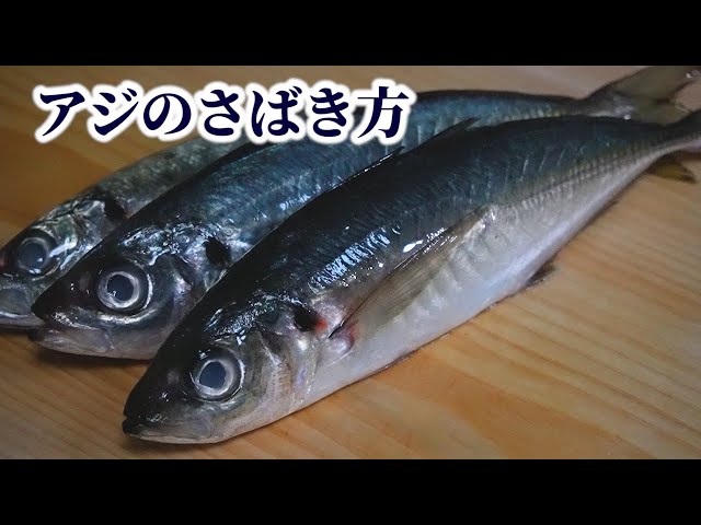 How to Fillet Horse Mackerel & Make Horse Mackerel Tataki Sashimi【English subtitles】