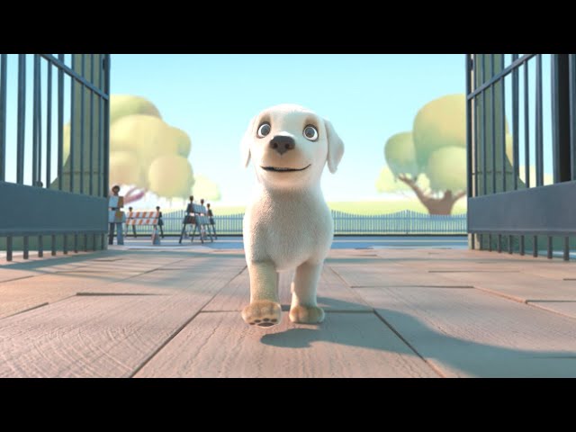 Pip Dog | Pip Animated Short Film | Pip Cartoon Film | Pets Guideline