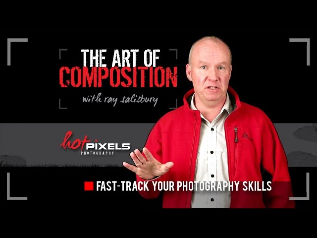 Composition for Photographers | Udemy Course | See below