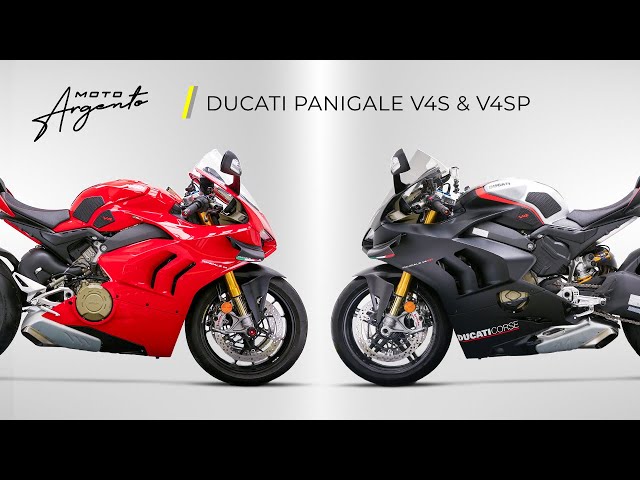 Ducati Panigale V4S & Panigale V4SP - Moto Exclusive - Concessionario Moto Argento