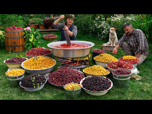 🍒 Long-Term Preservation: How to Keep Cherry Plums for Years