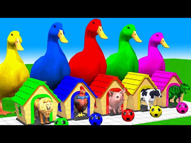 5 Giant Ducks | Cow Mammoth Elephant Lion Buffalo HIPPO Guess The Right Door Animals Cage Game