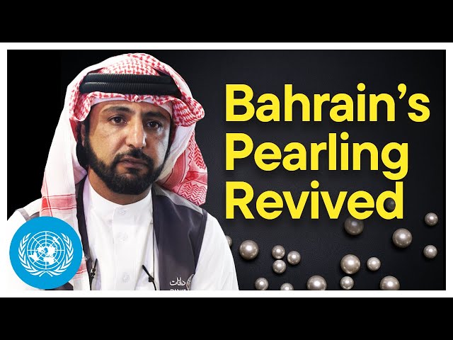 Revival of Pearling in Bahrain | United Nations