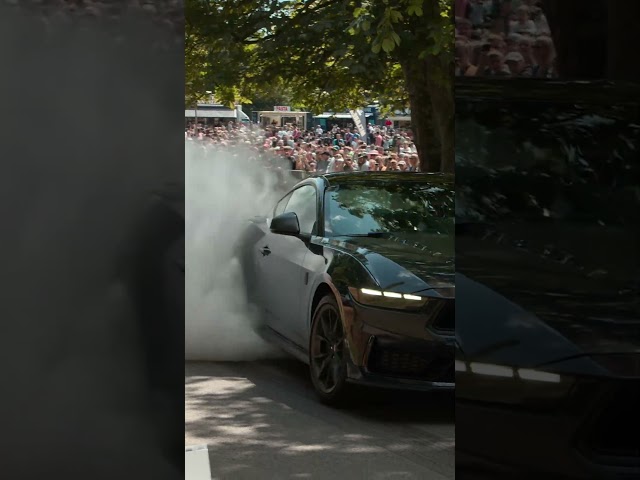 The Stig driving at the Beaulieu Supercar Weekend (part 2) #topgear   #beaulieu  #car