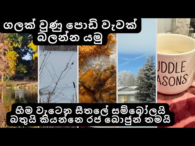 හිමෙන් වැසුණු වැවක් උඩින් ගිය අඩි පාරවල් | Winter lake adventure | සිoහල Vlog | Maple Life With Ishu