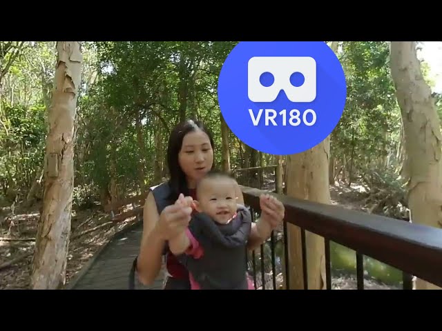 [VR180 VR 3D] Do you like crocodiles @ Hartley's Crocodile Adventures | Family Virtual Reality