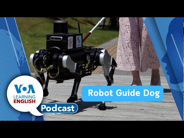 Robot Guide Dogs, South Sudan Animal Migration, Rural Math Contest Winner