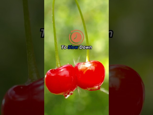 || "How Cherries Predict the Weather! 🌟 🍒" - #shorts #fruit ||