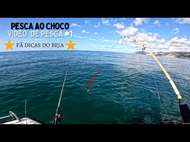 PESCA AO CHOCO NA BARRA VIDEO #1 RAFA E SANTIAGO [ AÇÃO DE PESCA ]