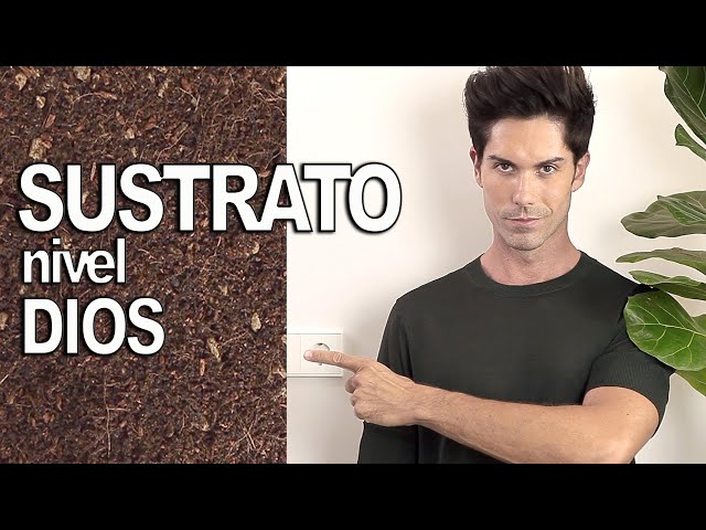 🌿 HOW to prepare the BEST SUBSTRATE for INDOOR PLANTS and SUCCULENTS!!(Go to the next level!)💚