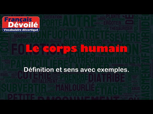 Le corps humain