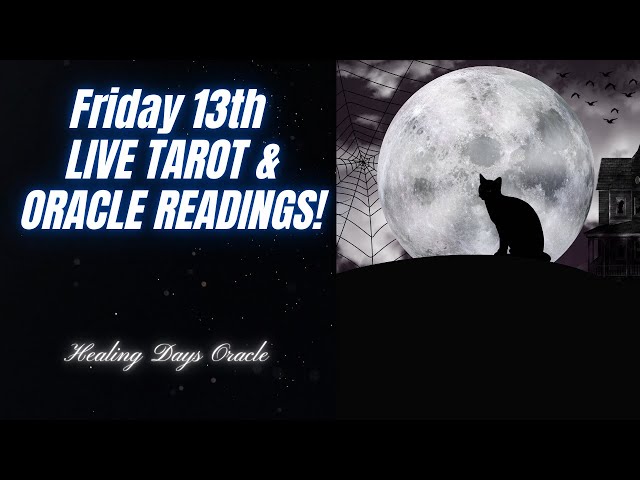 🔮 LIVE TAROT & ORACLE READINGS! 🐈‍⬛ #tarot #livereadings