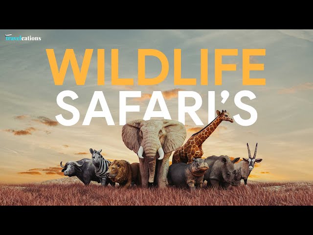 Wildlife Safari | Wild Animals | Heart of the Animal Kingdom: Documentary