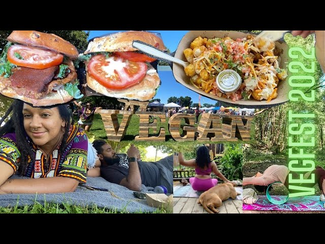 MY DOG FELL DOWN THE HILL😂😂 | vegfest 2022 & hiking in maryland