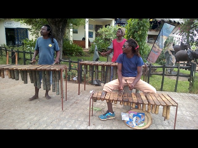 Zimbabwe Marimba Group