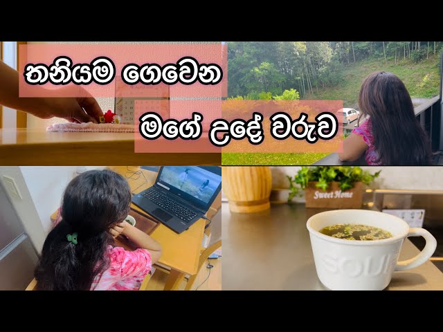 My morning routine | තනියම ගෙවෙන මගේ උදේ වරුව🌸 | Breakfast | House work | Spring morning | Sinhala