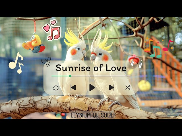 Sunrise of Love 💗 - Elysium of Soul 🐦