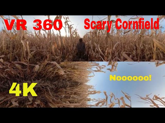 SCARED SILLY | VR 360