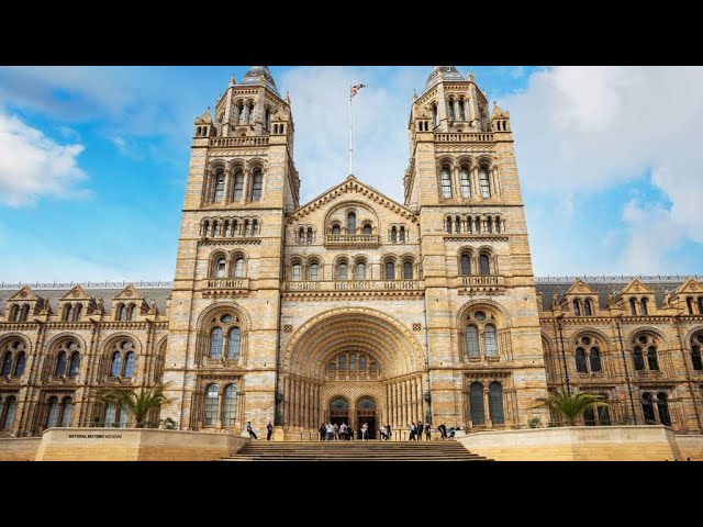 LONDON NATURAL HISTORY MUSEUM