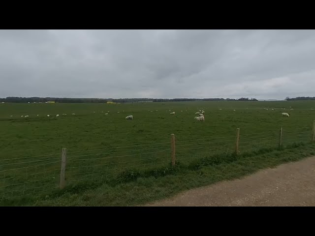 Stonehenge - Sheep Field VR180