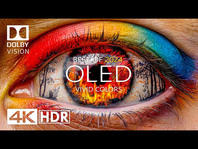 Vivid Colors 4K HDR 60 fps Dolby Vision (4K Video)