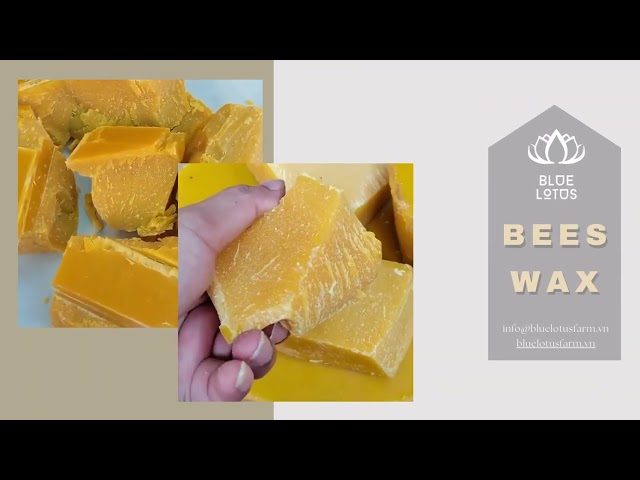 Bees Wax -  Eco Friendly Handmade Viet Nam - Easy to use, Diverse Applications