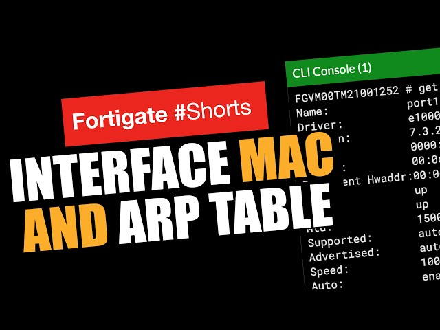 Interface MAC address And ARP Table #Shorts