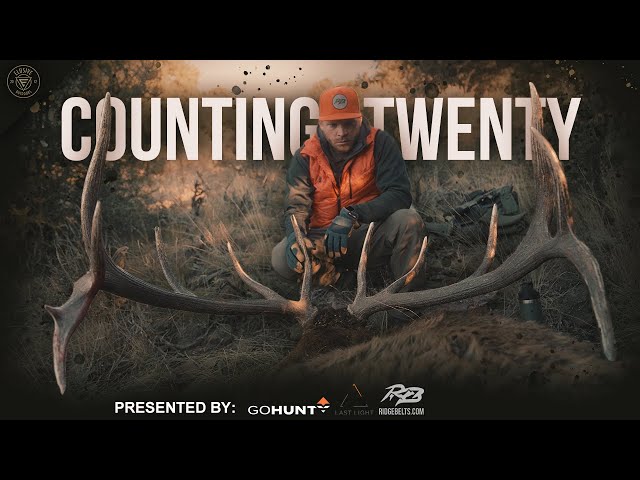 A Late Season Utah Elk Hunt | COUNTING TWENTY