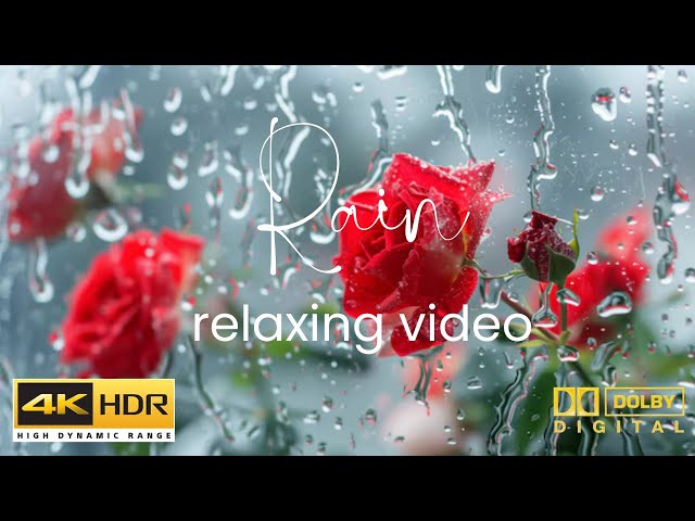 Relaxing Music & Rain Sounds - Beautiful Piano Music, Background Music, Sleep Music