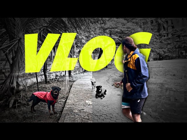 Rottweiler Training In Distraction And Walking Between Senior Citizen Crowd | Day - 61 #vlog