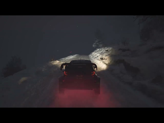 WRC Snow Rally Test