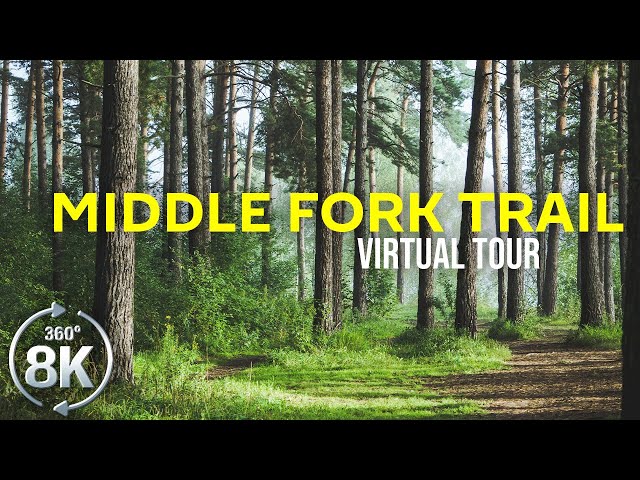 Virtual Hike on Middle Fork Snoqualmie River Trail - 8K 360˚ VR Forest Trail Walk