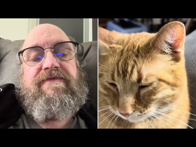 A Catholic Reads…The Introduction (with Max the Cat)