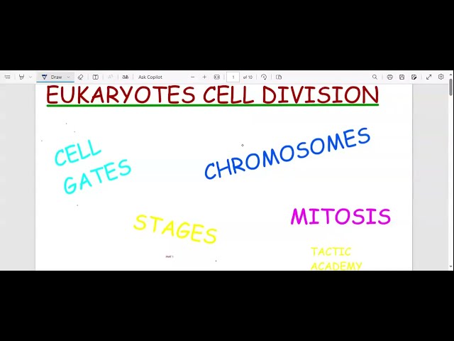 EUKARYOTES CELL DIVISION, MITOSIS